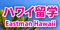 ハワイ留学ロゴ