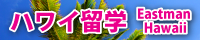 ハワイ留学ロゴ